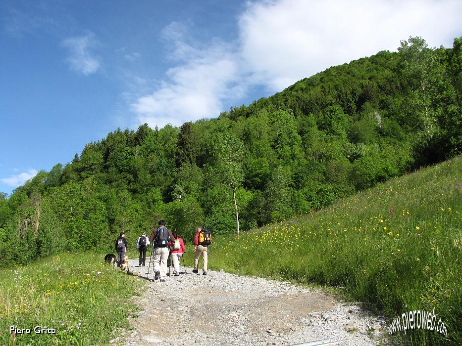 03 Strada sterrata tra prati in fiore.jpg